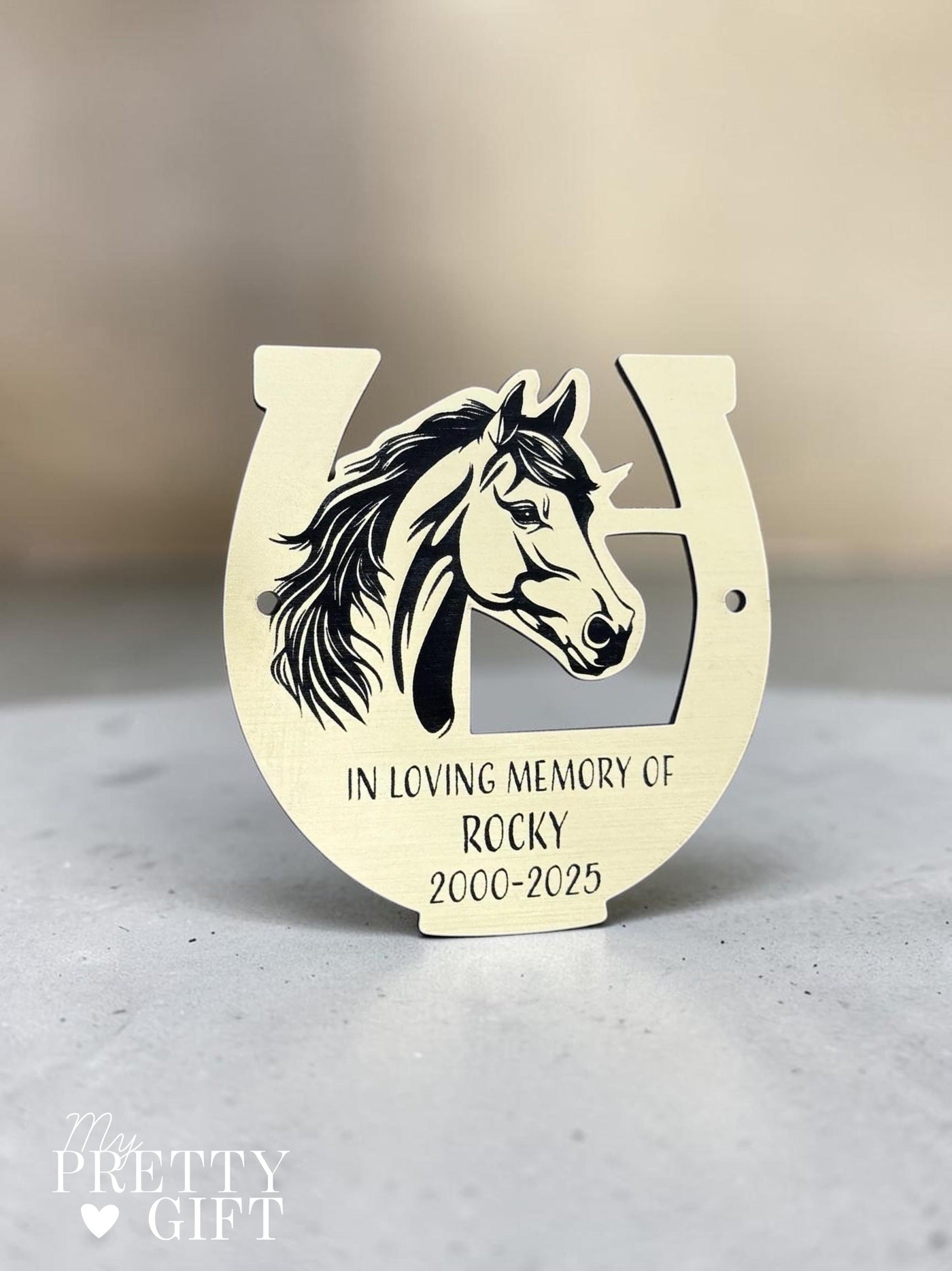 Memorial plaque for indoor or outdoor use, available in silver or gold finishes with multiple size options. Custom engraved with any name, dates, or personal message. Ideal as a bench memorial plaque, grave marker, garden tribute, or lasting remembrance gift.